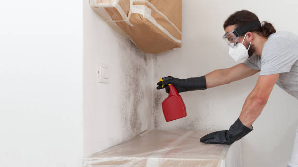 Professional Bathroom Mold Removal technician working in Millheim, PA